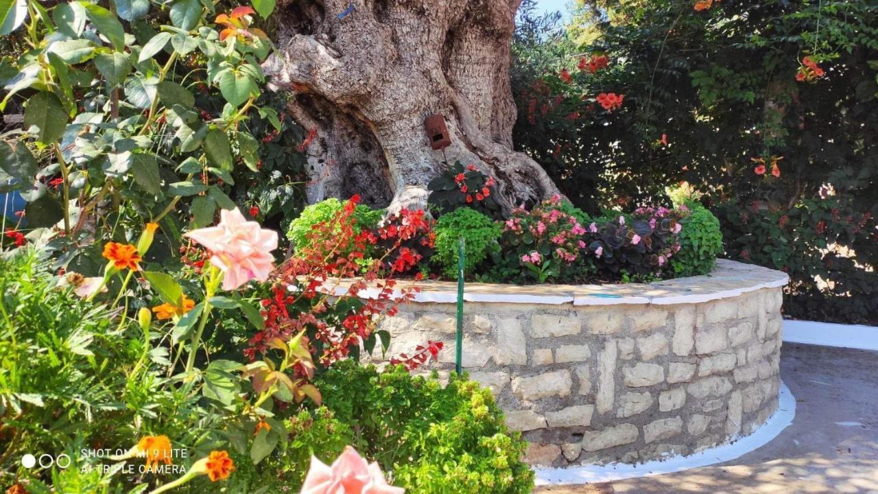 Vasil Rooms Λούκοβο Εξωτερικό φωτογραφία