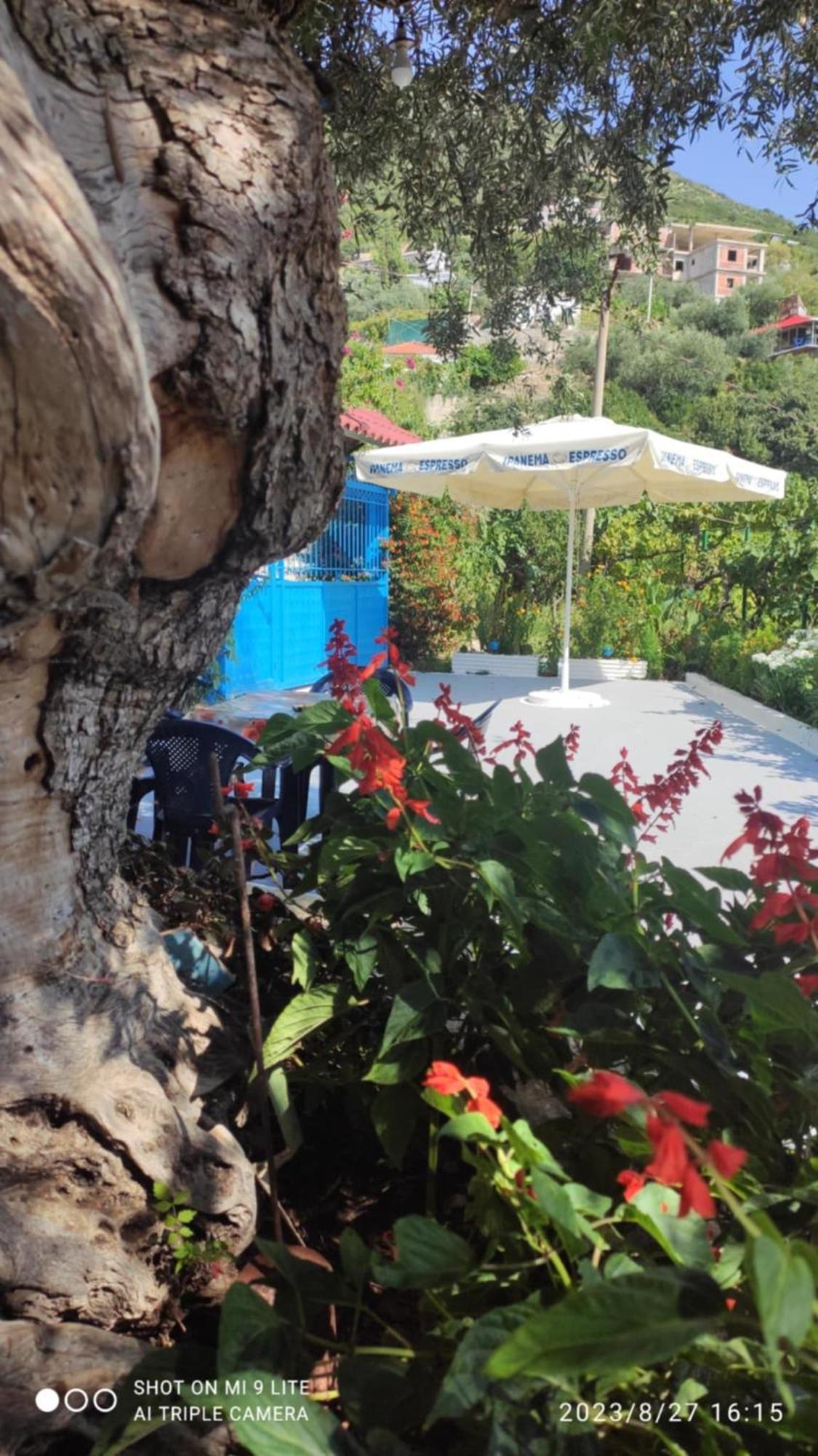 Vasil Rooms Λούκοβο Εξωτερικό φωτογραφία