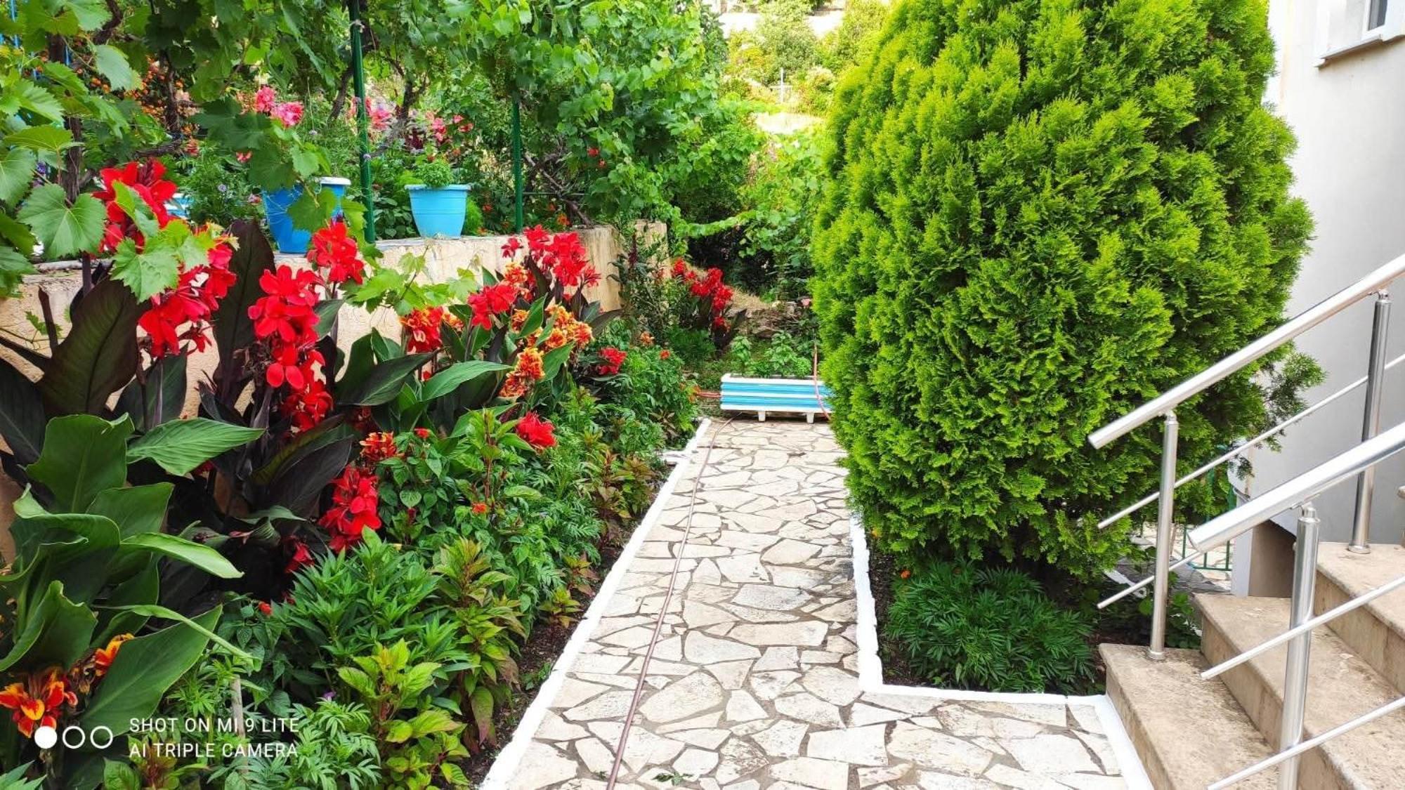 Vasil Rooms Λούκοβο Εξωτερικό φωτογραφία